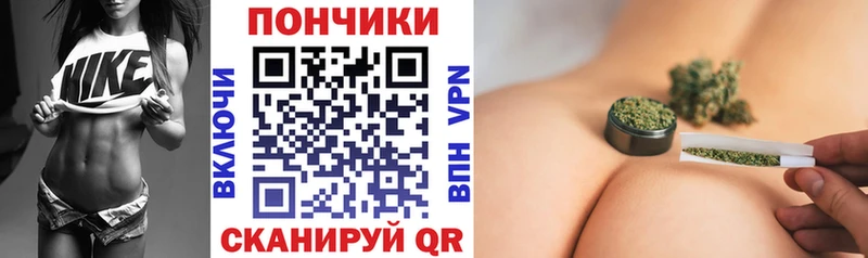 Шишки марихуана планчик  где найти наркотики  Агрыз 